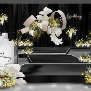 星·梦-全景封面图