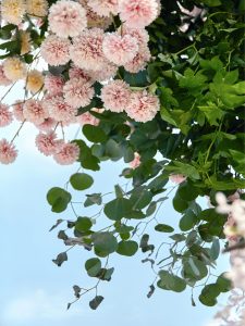 粉绿森系婚礼仪式区细节