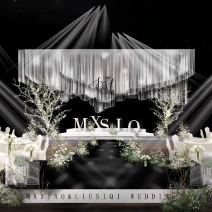 流光星涟婚礼全景（银白空灵氛围）