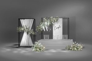 银域幻境婚礼迎宾区银白极简场景