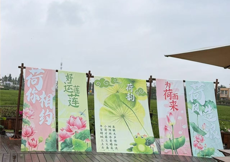 荷风沙堤遇见一场写进风景里的婚纱旅拍